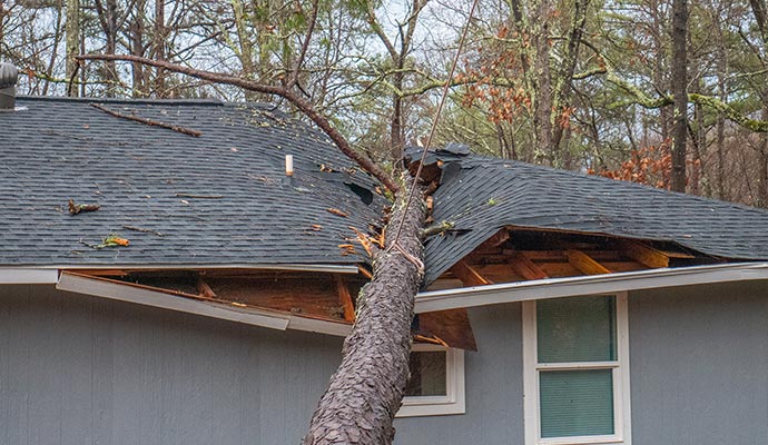 uprooting tree wind storm damaged grey house roof